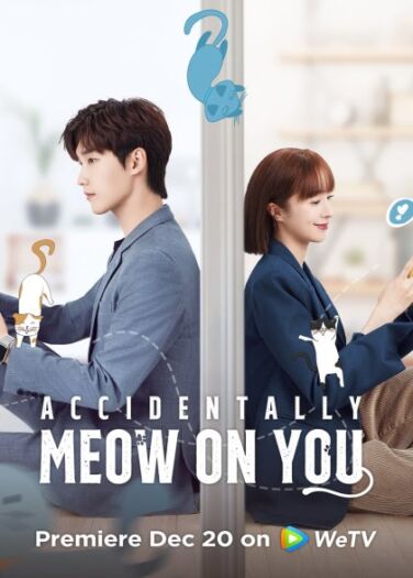 مواء مواء يرتبط بالحب Accidentally Meow on You