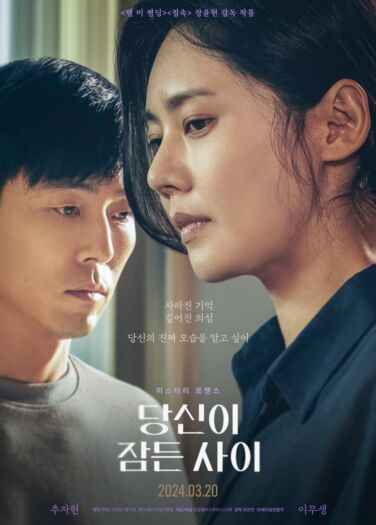 فيلم بينما كنت نائمًا While You Were Sleeping