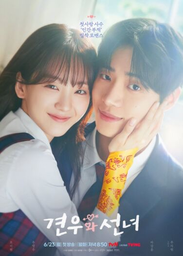 Head over Heels 2025 مسلسل واقعة في الحب بجنون الكوري مترجم + تقرير