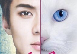 فيلم الرجل القط Catman